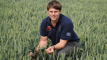 Strategic Cereal Farm Midlands Image